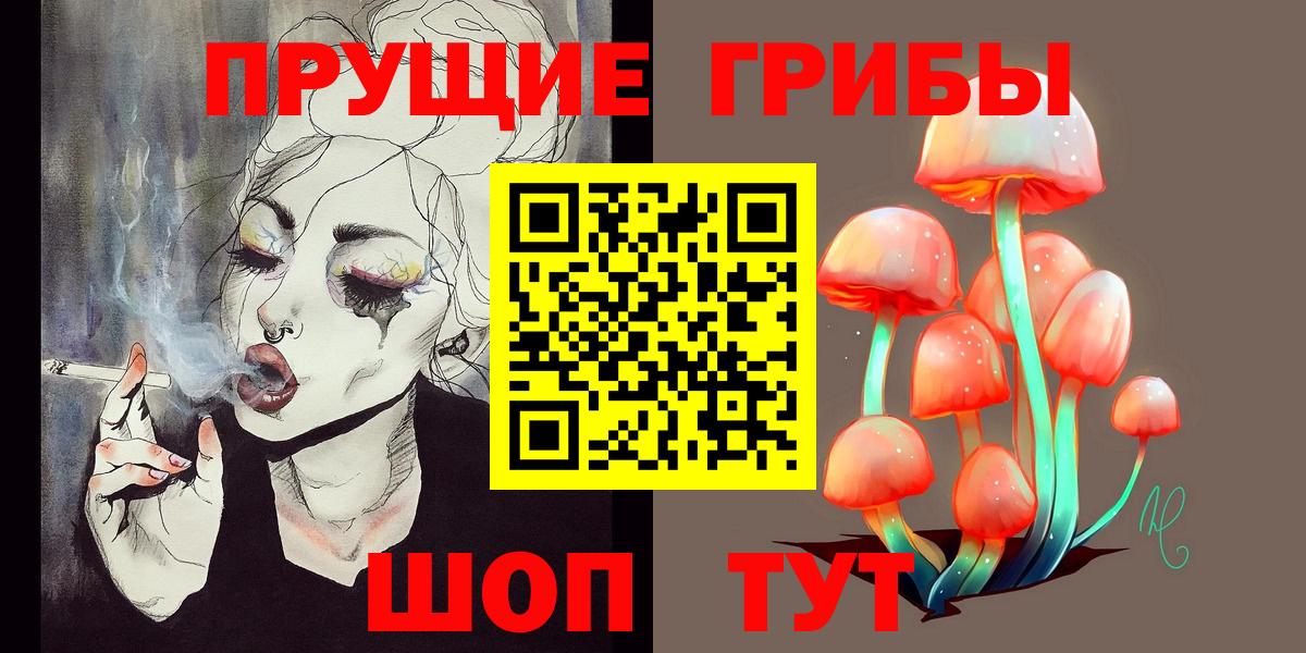 Дмитров  Псилоцибиновые грибы GOLDEN TEACHER  Вход с VPN 